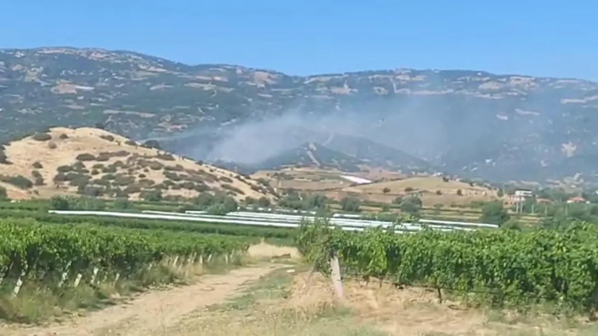 SON DAKİKA: Manisa'da orman yangını: Müdahale devam ediyor