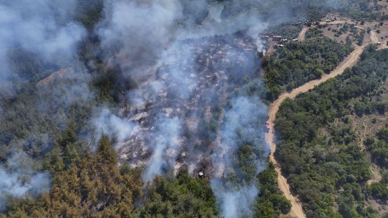 Anızda başladı, ormana sıçradı: Yangına havadan ve karadan müdahale
