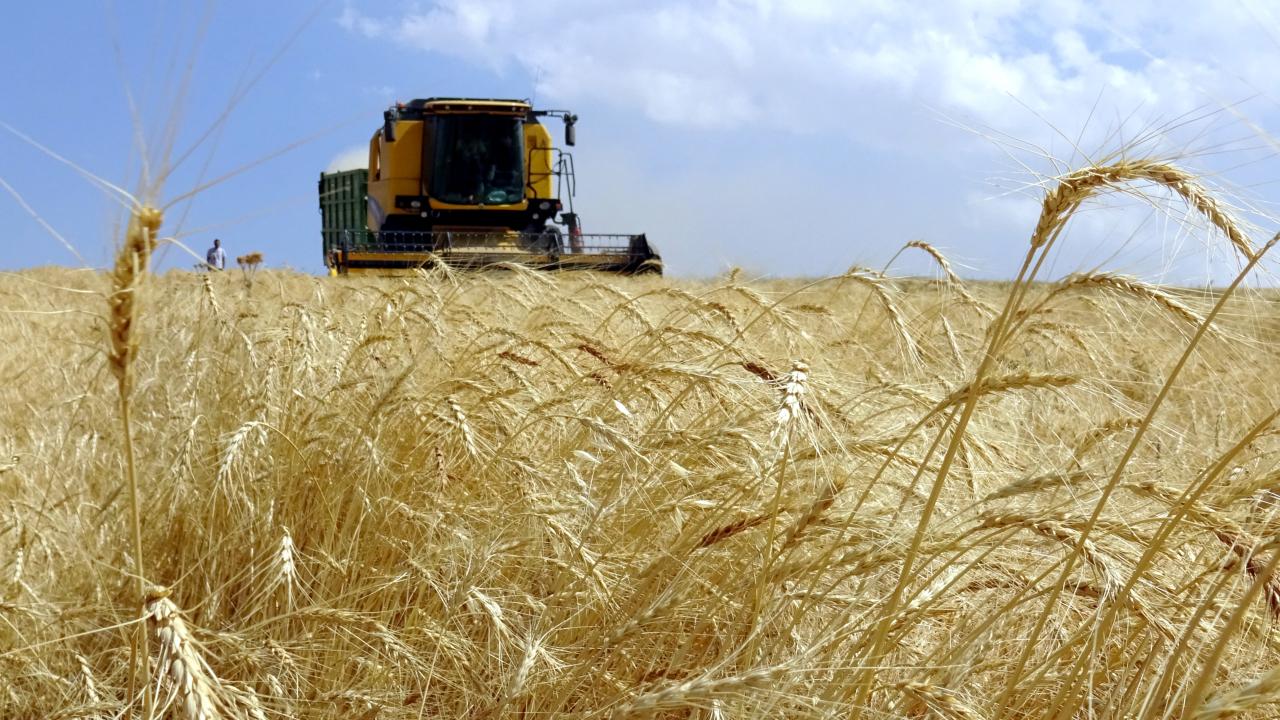 Kırsal kalkınma desteklerinde başvuru süresi uzatıldı