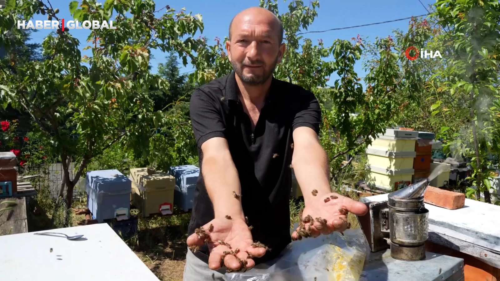 "Arılara fısıldayan adam" korkmadan temas edebildiği arılarla 5 senedir birlikte yaşıyor
