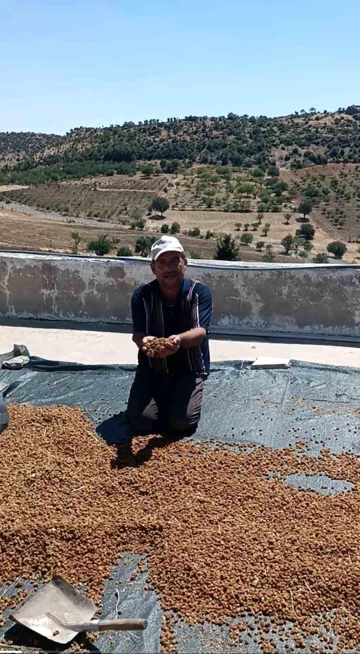 Çermik'te dutlar pazardaki yerini aldı