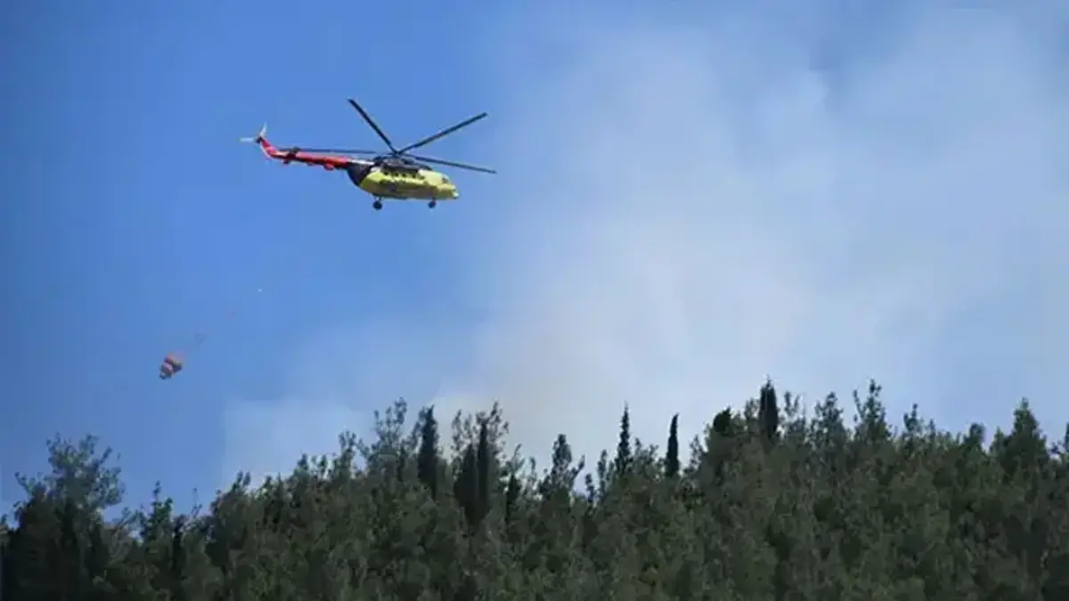 Manisa'nın Turgutlu ilçesinde orman yangını