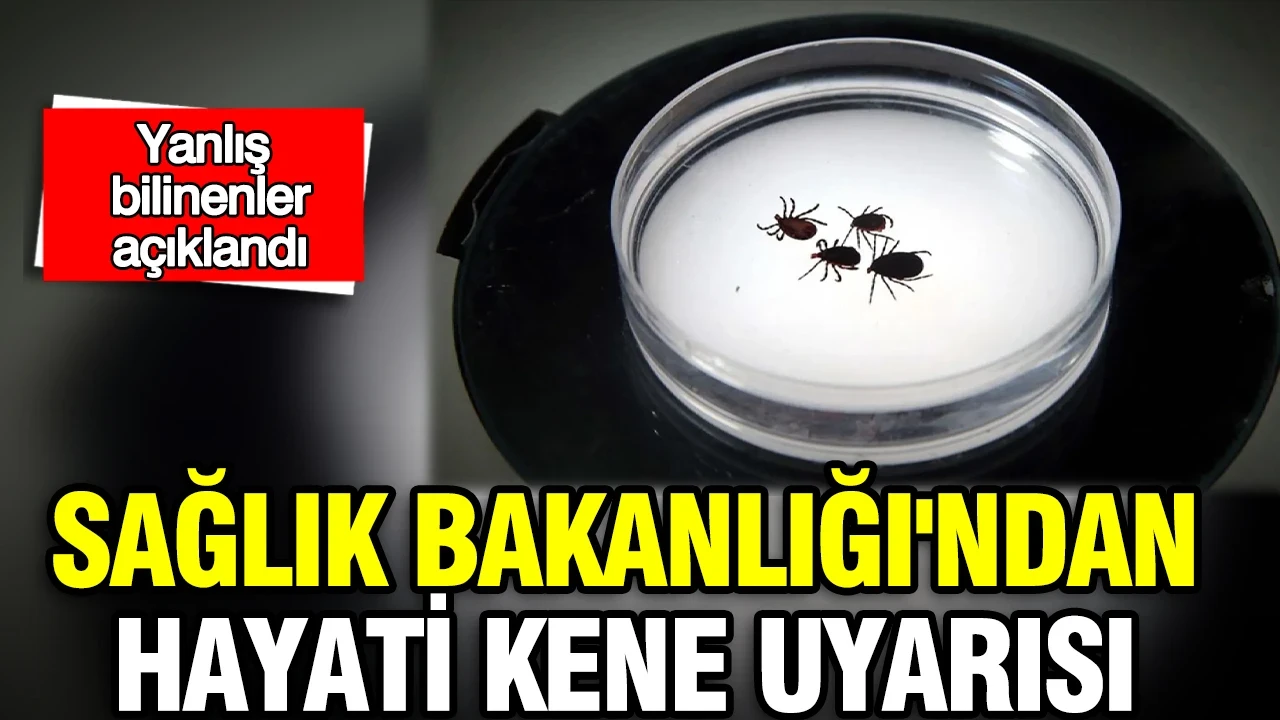 Sağlık Bakanlığı'ndan hayati kene uyarısı: Yanlış bilinenler açıklandı