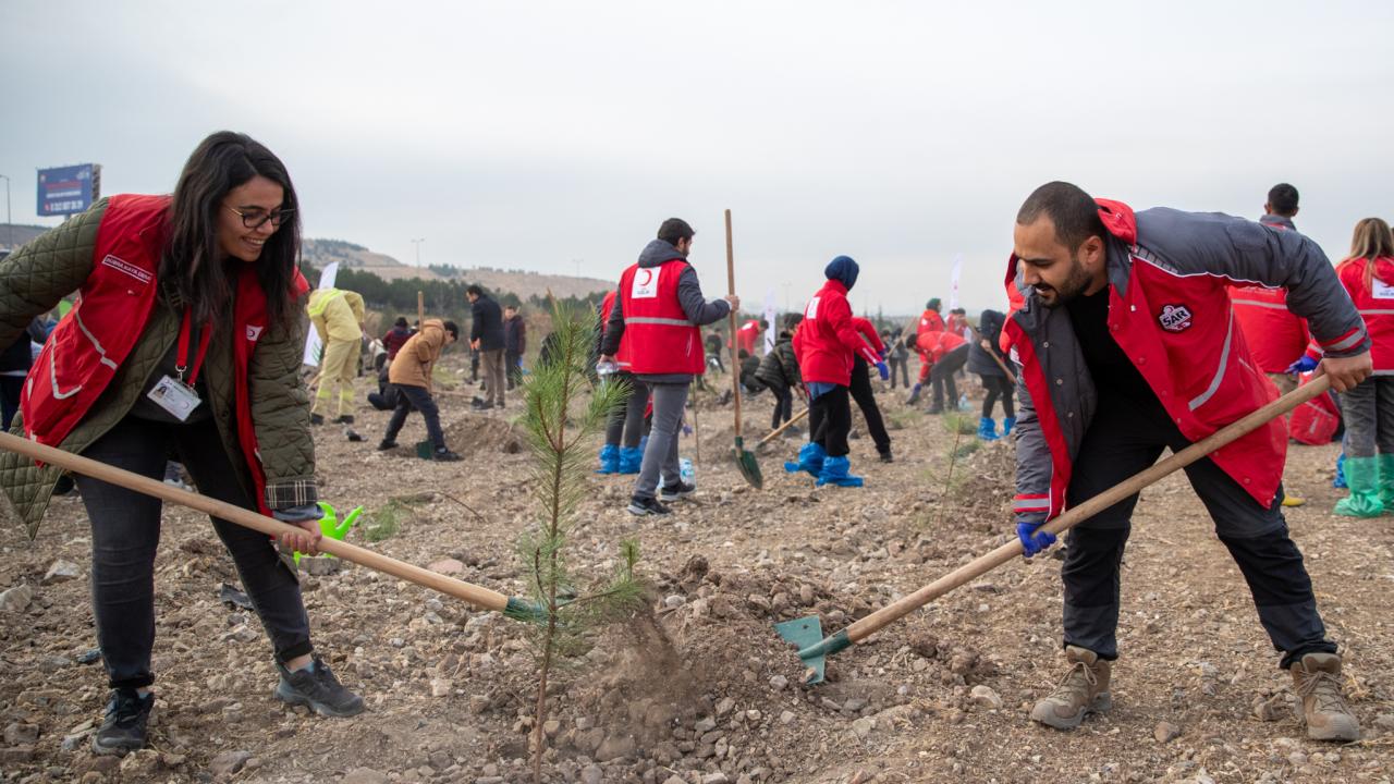 "Hastaya Kan, Ormana Can" projesiyle 4,7 milyon fidan toprakla buluştu