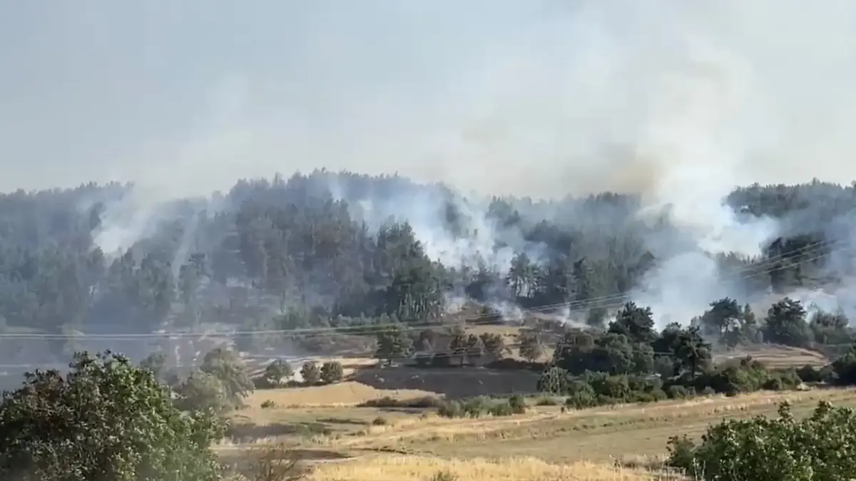Balıkesir'de 2 ilçede orman yangını! Ekipler müdahale ediyor