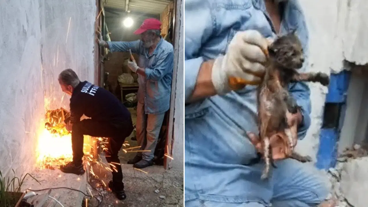 Bacaya düşen yavru kediyi itfaiye kurtardı