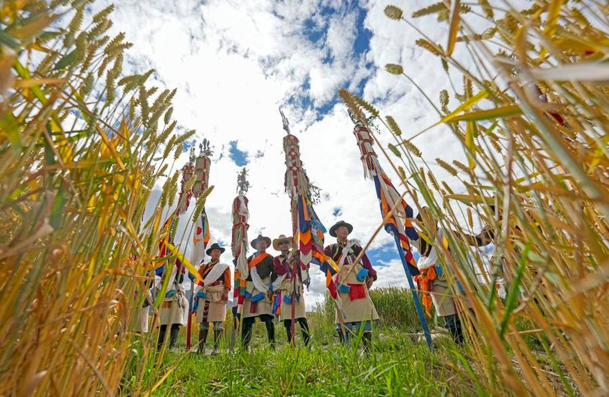 Albüm: Çin'in Xizang (Tibet) bölgesinde Ongkor Festivali bol hasat dilekleriyle kutlandı