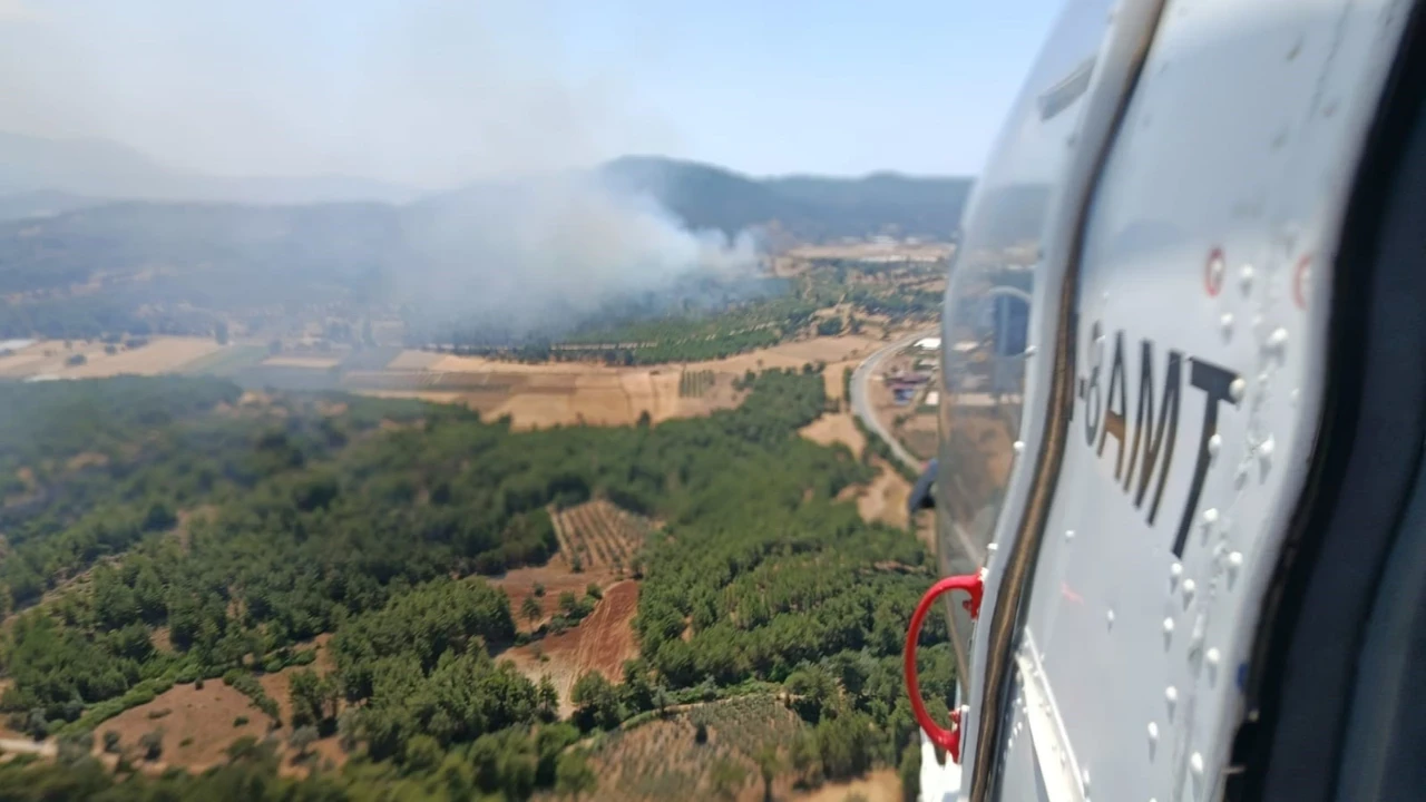 Muğla'da orman yangını