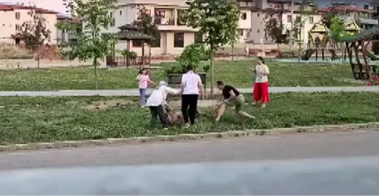 Çocuk parkındaki köpek saldırısı kamerada! Doktorun müdahalesi faciayı önledi