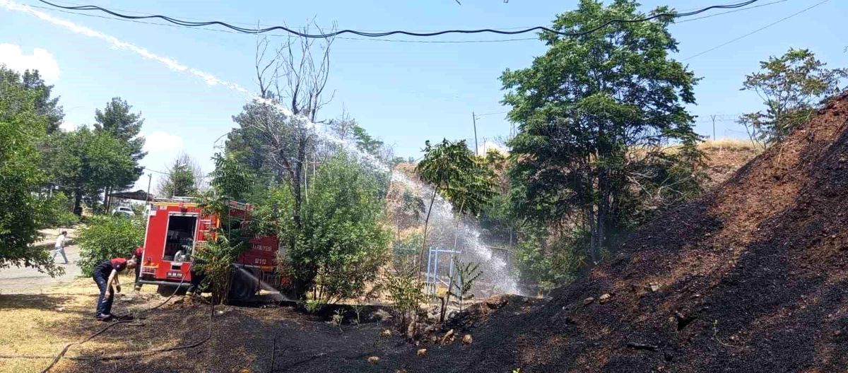 Siirt'te iş makinesinden çıkan kıvılcımı otluk alanı yaktı