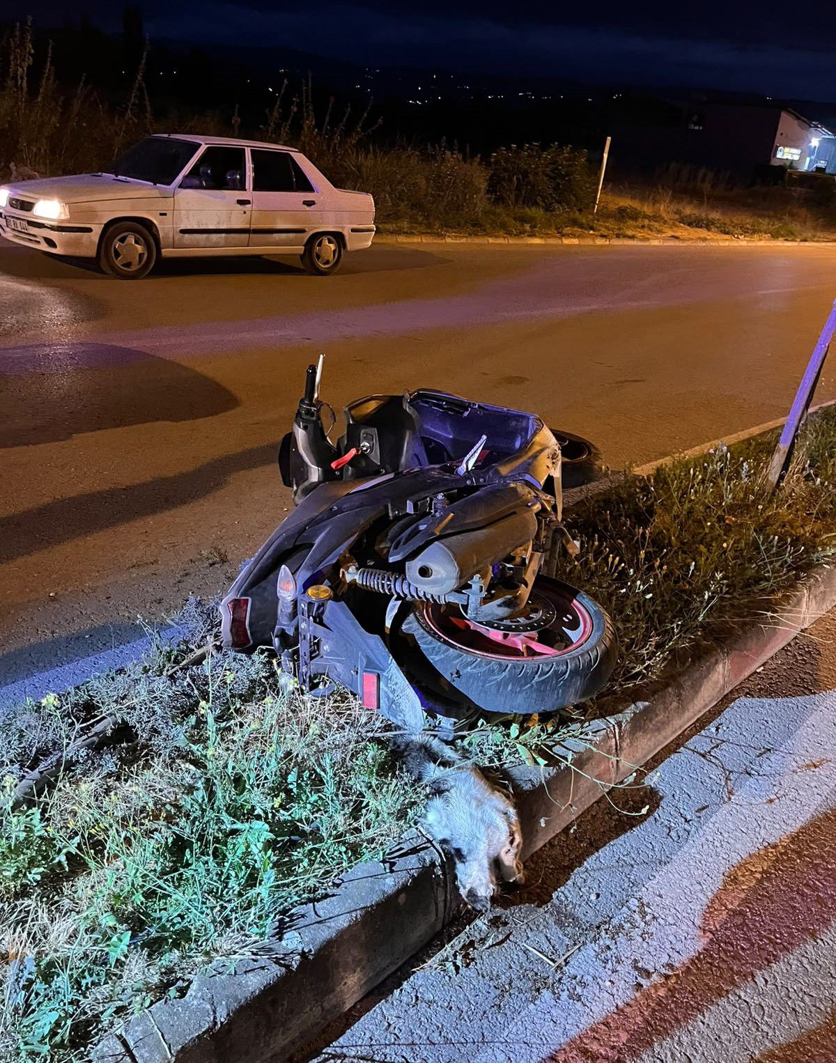 Niksar'da Kediye Çarpmamak İçin Yapılan Manevra Sonucu Motosiklet Kaldırıma Çarptı: 1 Ölü