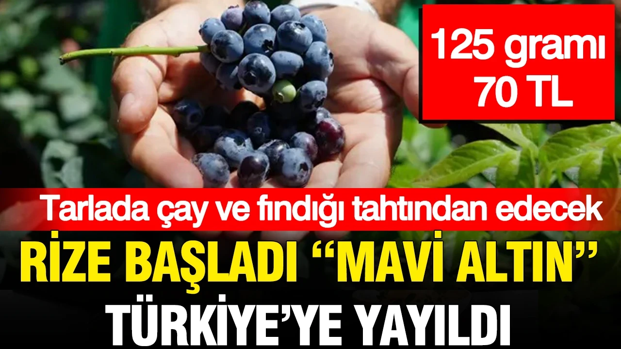 Gram gram servet: 125 gramı 70 TL olan “mavi altın” Türkiye’yi sardı