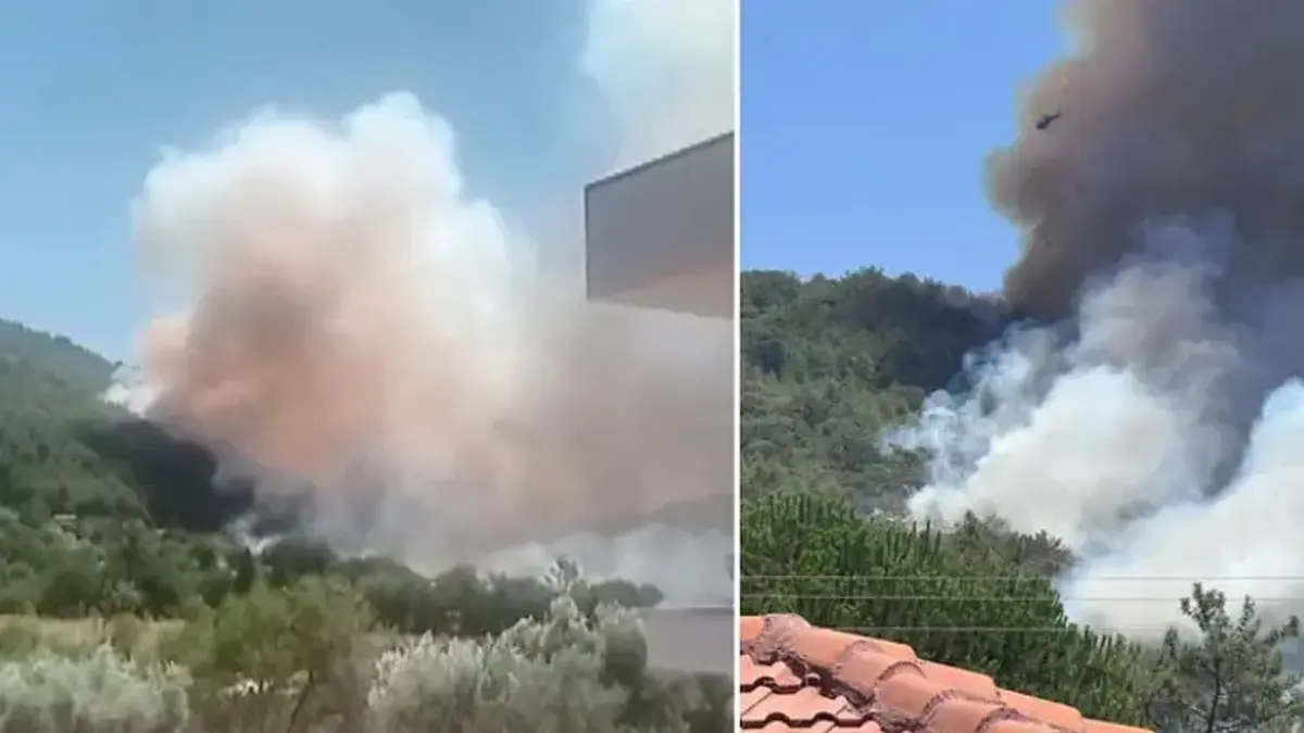 Muğla ve Antalya'da orman yangını! Alevlerle mücadele sürüyor
