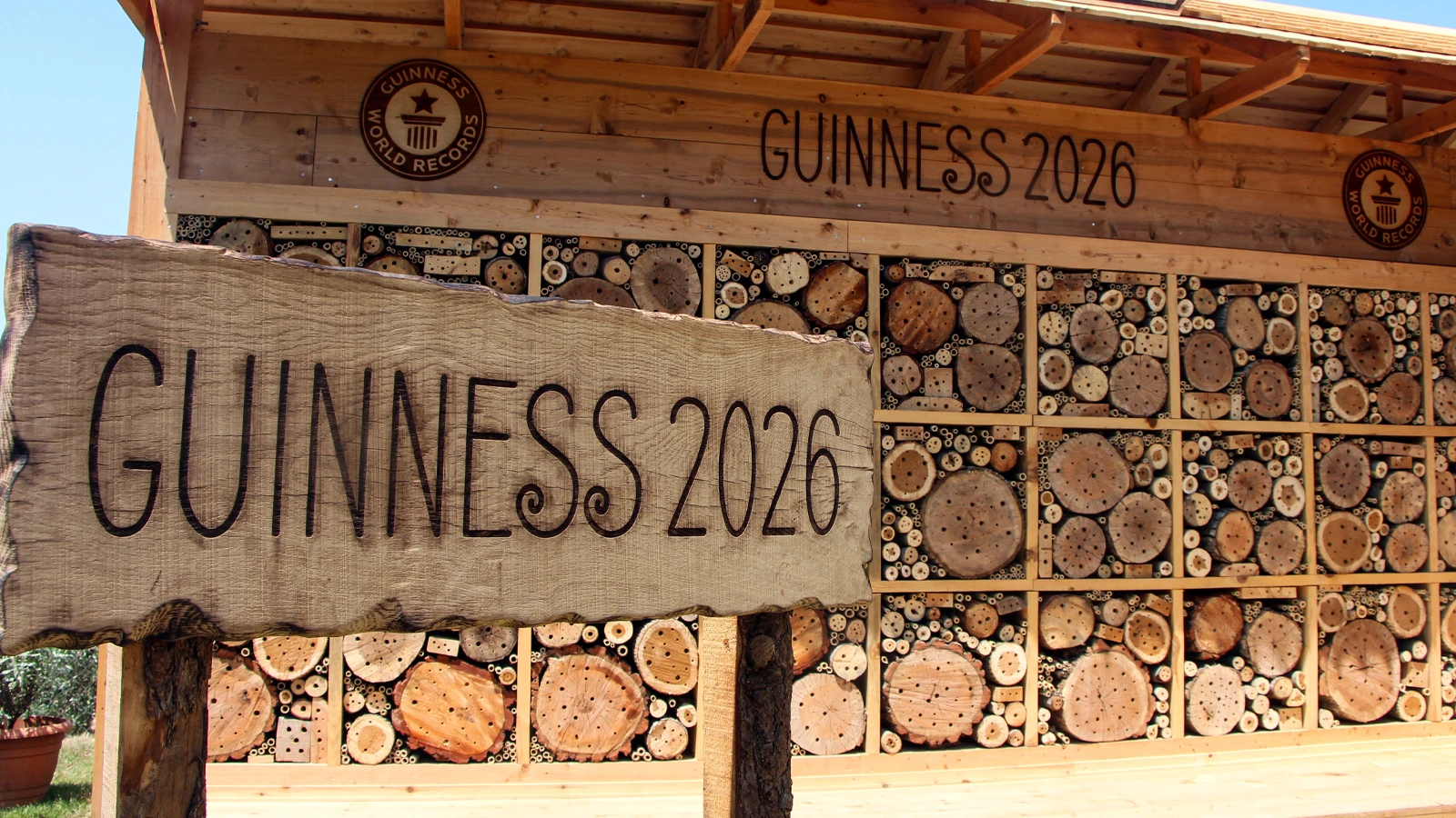 Adana'da hayata geçirilen 'arı oteli' dünyanın en büyüğü; Guinness tescil etti