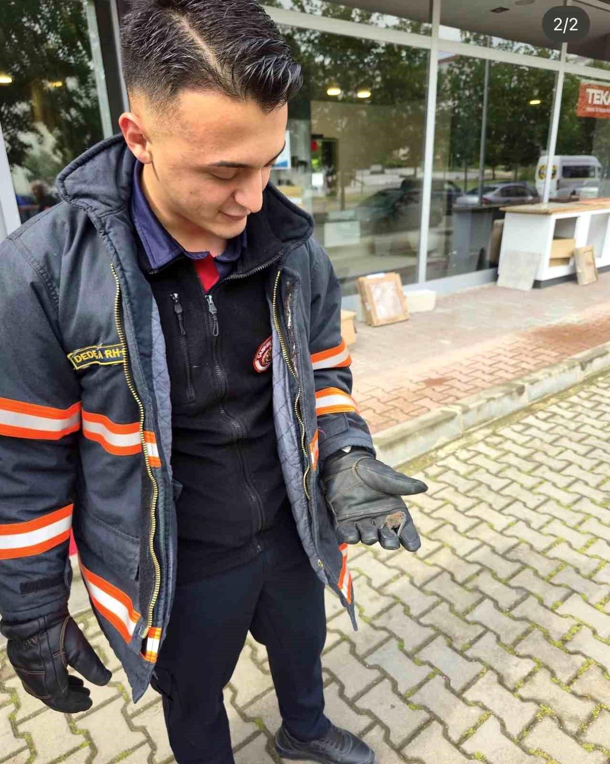 Yaralı yarasa koruma altına alındı