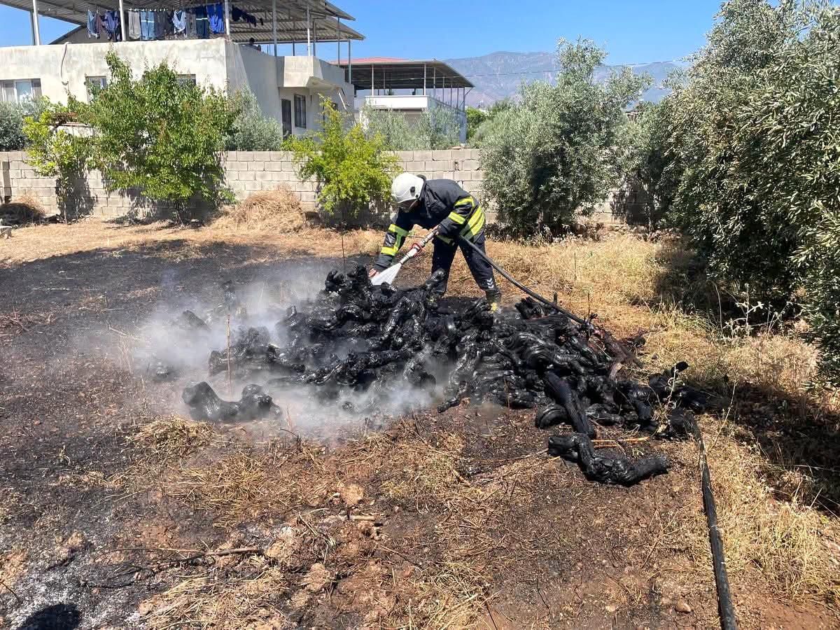 Hassa'da bahçe yangını