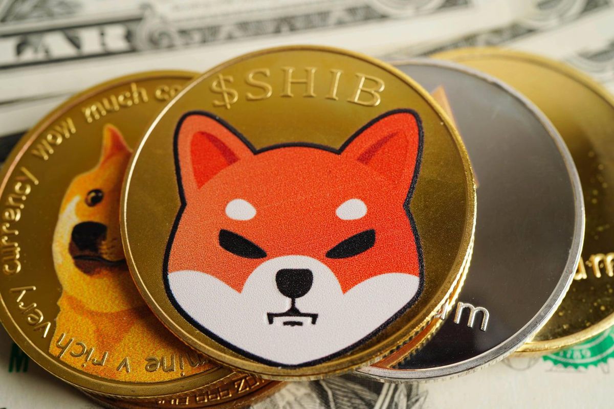 ABD'nin ilk Shiba Inu erişimli ETF'si onaylandı