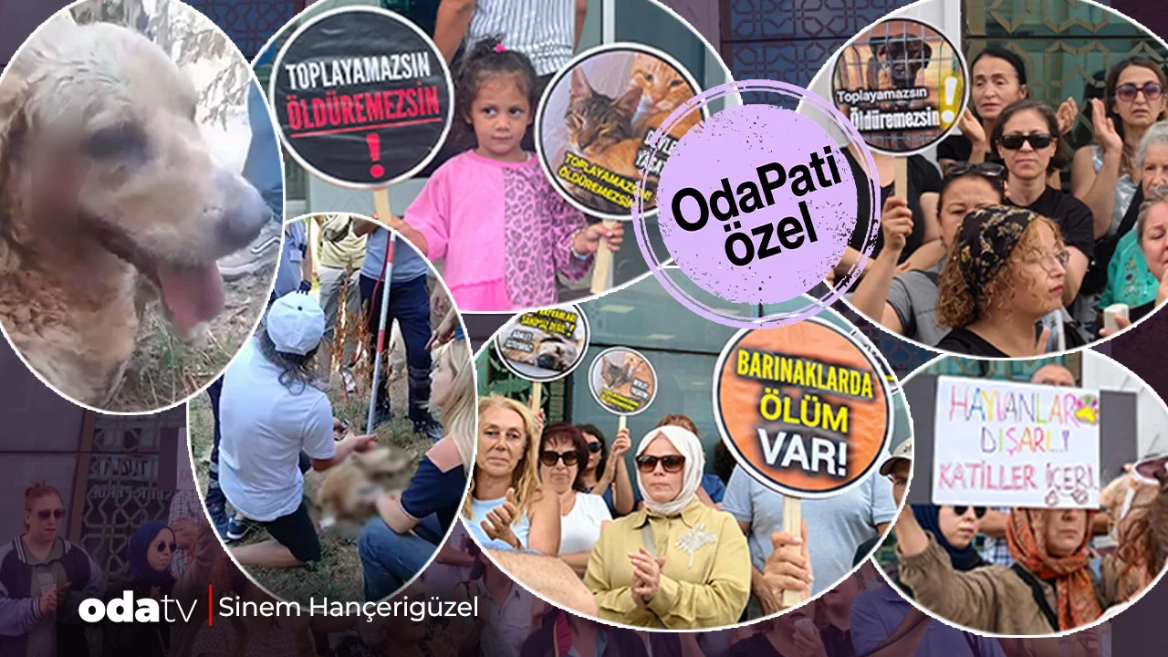 Tuzlalılar ayağa kalktı: Kör köpek neden alındı... Belediye önünde açıklama