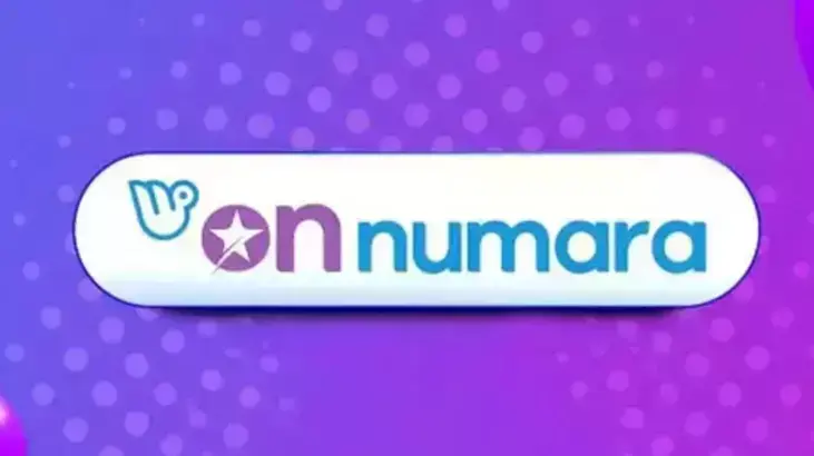 ON NUMARA SONUÇLARI BELLİ OLUYOR: Milli Piyango 15 Haziran On Numara çekiliş sonuçları açıklandı mı?