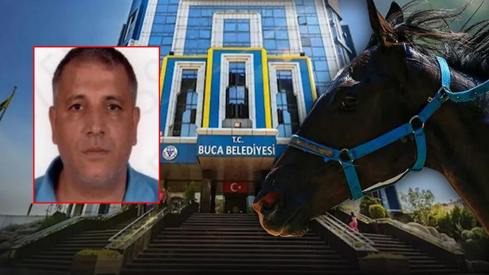 Buca Belediyesi soruşturmasında şoke eden detay: Gözaltına alınan memurun 13 yarış atı çıktı | GÜNDEM HABERLERİ