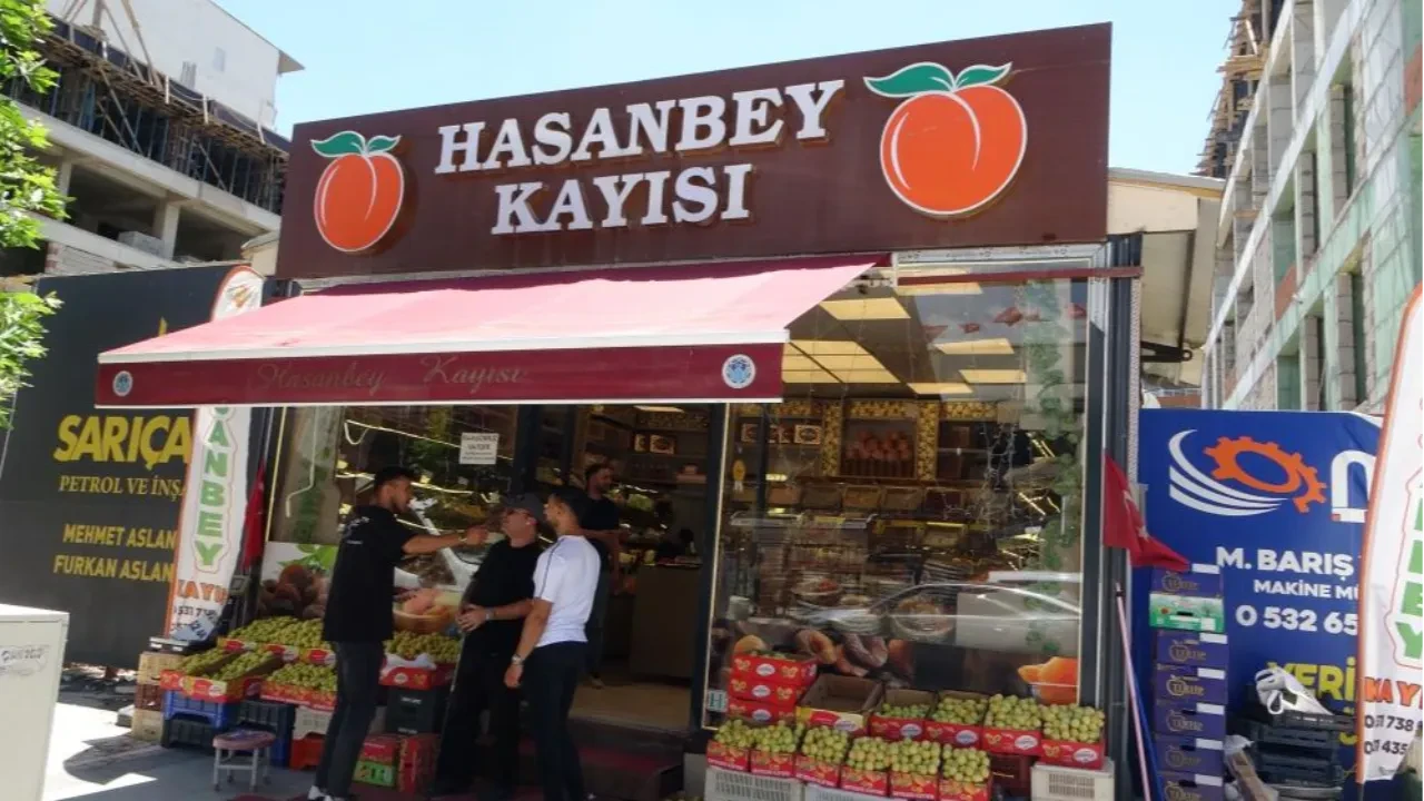 Dalında 70, markette 150 TL! Malatya'da yaş kayısı tezgahtaki yerini aldı