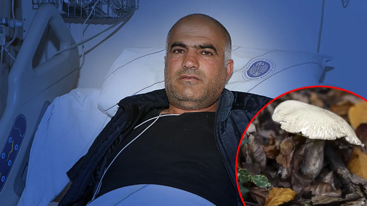 Erzurum'da 30 yıldır güvenle topladığı mantar bu kez yoğun bakımlık etti!