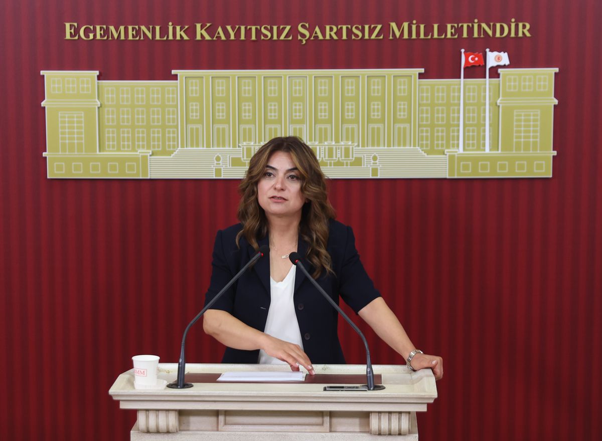 DEM Parti'li Koçyiğit: AKP'nin bu hafta yasa taslağını İmralı heyetimize aktarmasını bekliyoruz