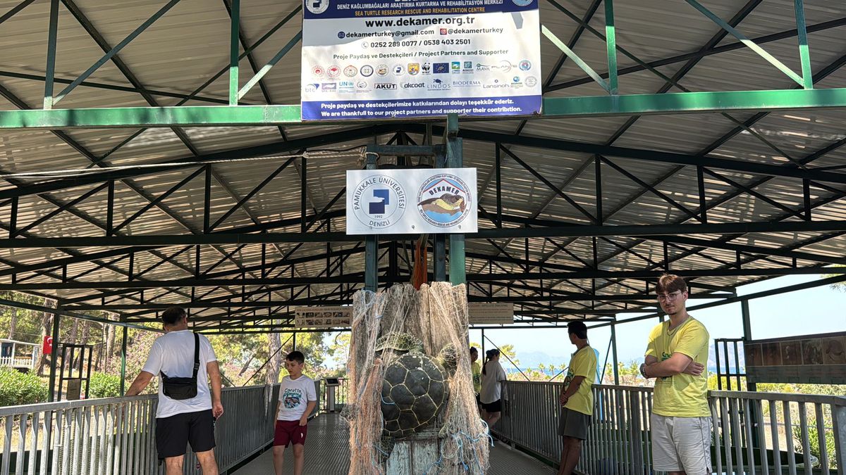 Deniz kaplumbağalarının hikayesini yaşatan müze