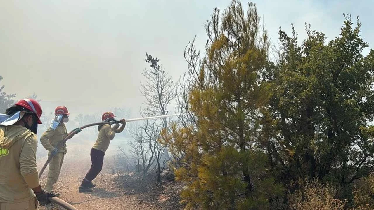 Bir orman yangını daha! Havadan ve karadan müdahale ediliyor