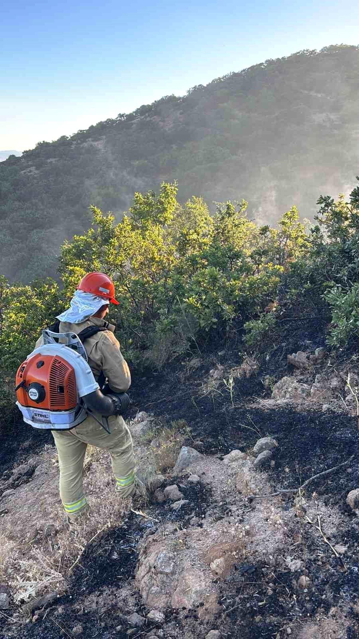 Bingöl'de çıkan orman yangını büyümeden kontrol altına alındı