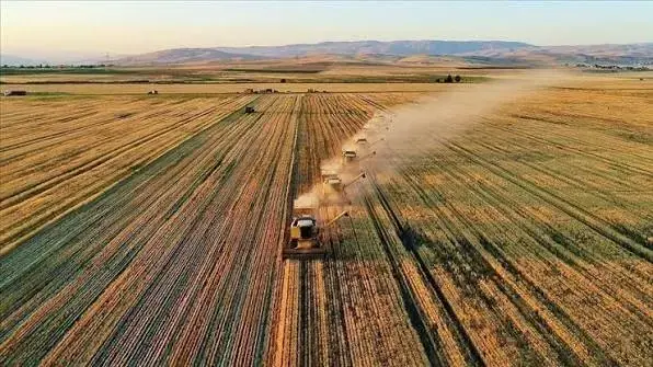 Tarımsal girdi fiyat endeksi mayısta arttı