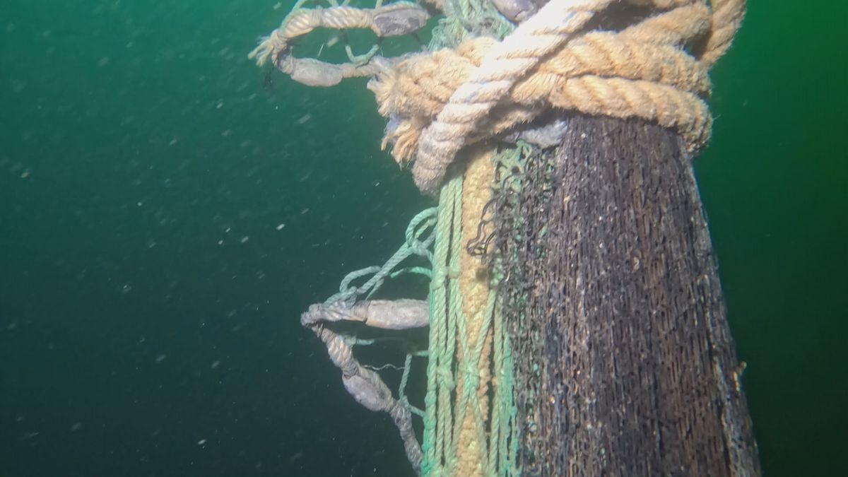 Marmara Denizi'nde 10 yılda 650 bin metrekare hayalet ağ deniz dibinden çıkarıldı