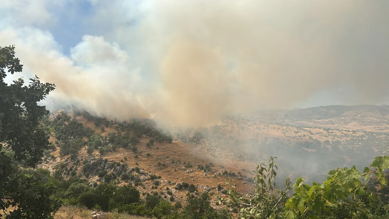 Diyarbakır'da orman yangını