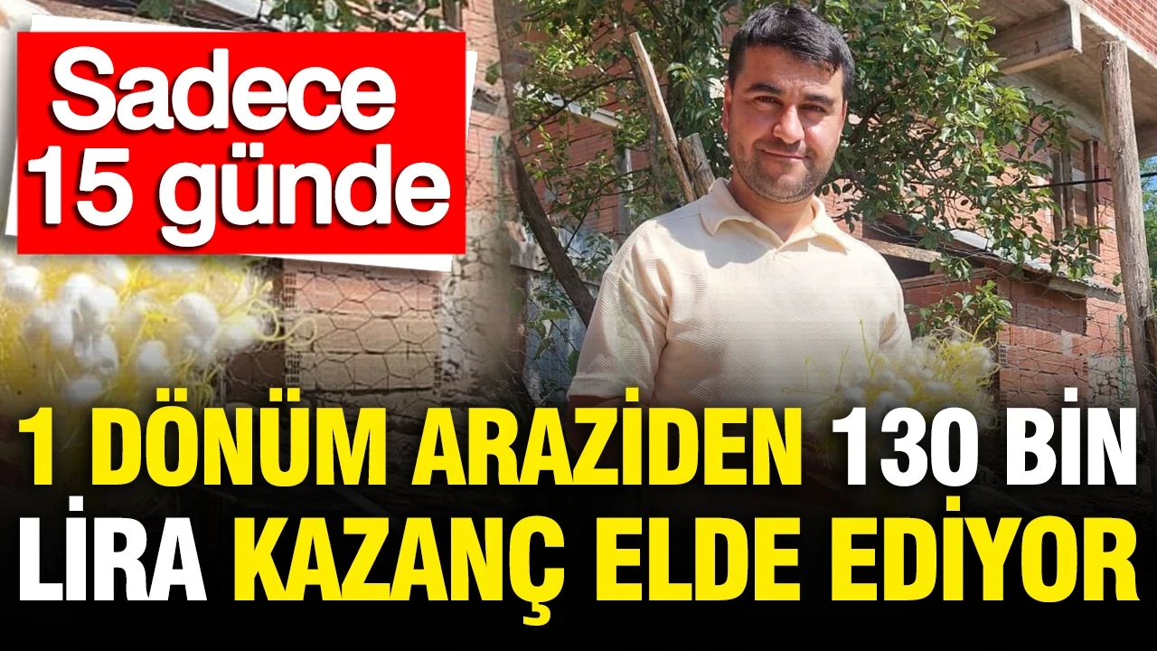 1 dönüm araziden 130 bin lira kazanç elde ediyor: Sadece 15 günde
