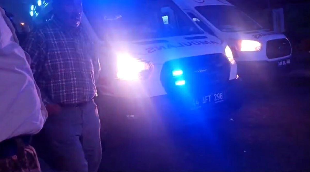 Malatya'da akrabalar arasında "dut ağacı" kavgası: 1'i çocuk 3 yaralı