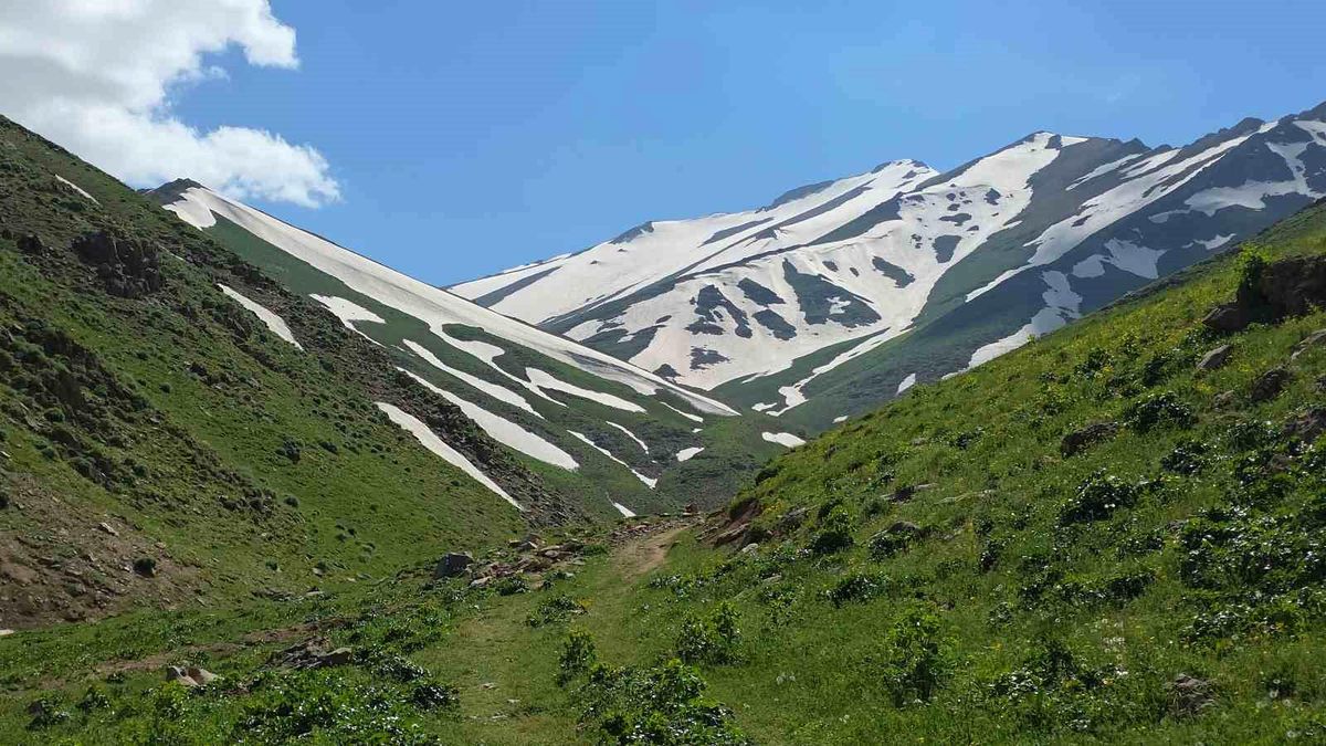 Haziran ayında karda kayıp kartopu oynadılar