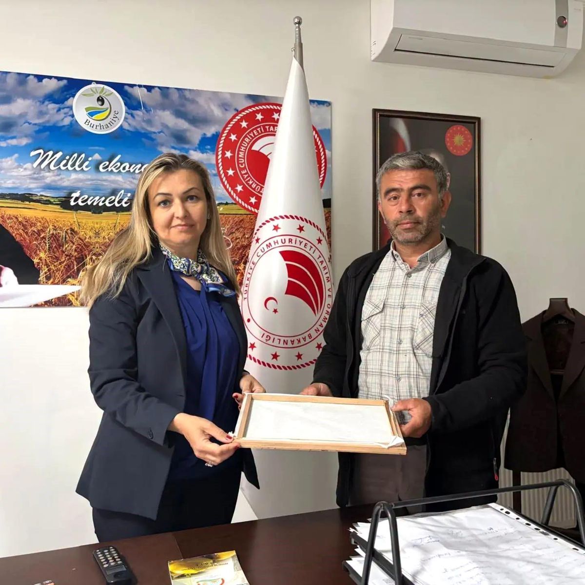 Burhaniye'de ipek böcekçiliğinde ilk kozalar hasat edildi