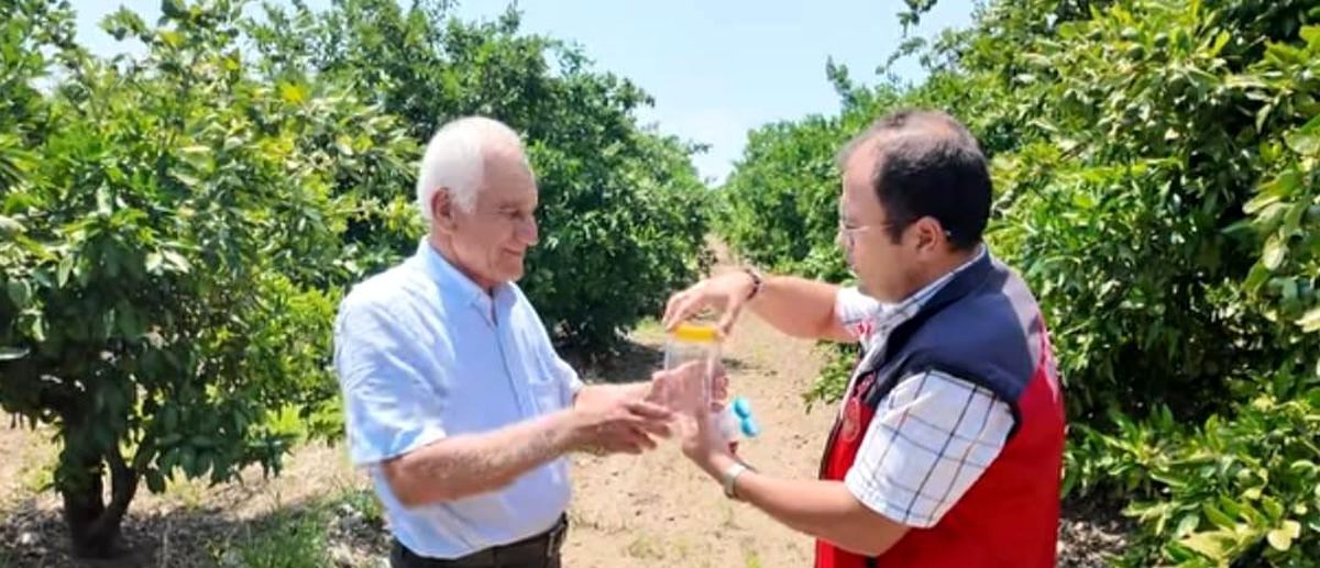 Andırın'da faydalı böcek ile doğal mücadele
