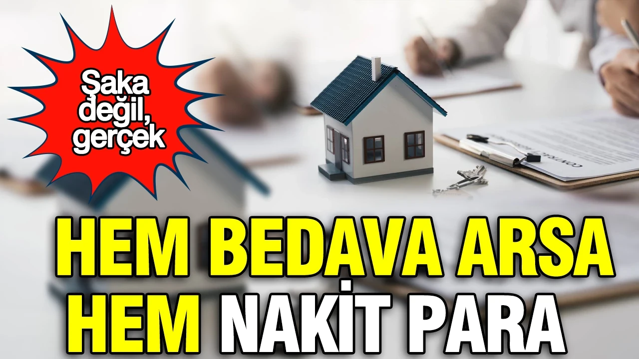 Şaka değil, gerçek: O ülkede hem bedava arsa hem nakit para