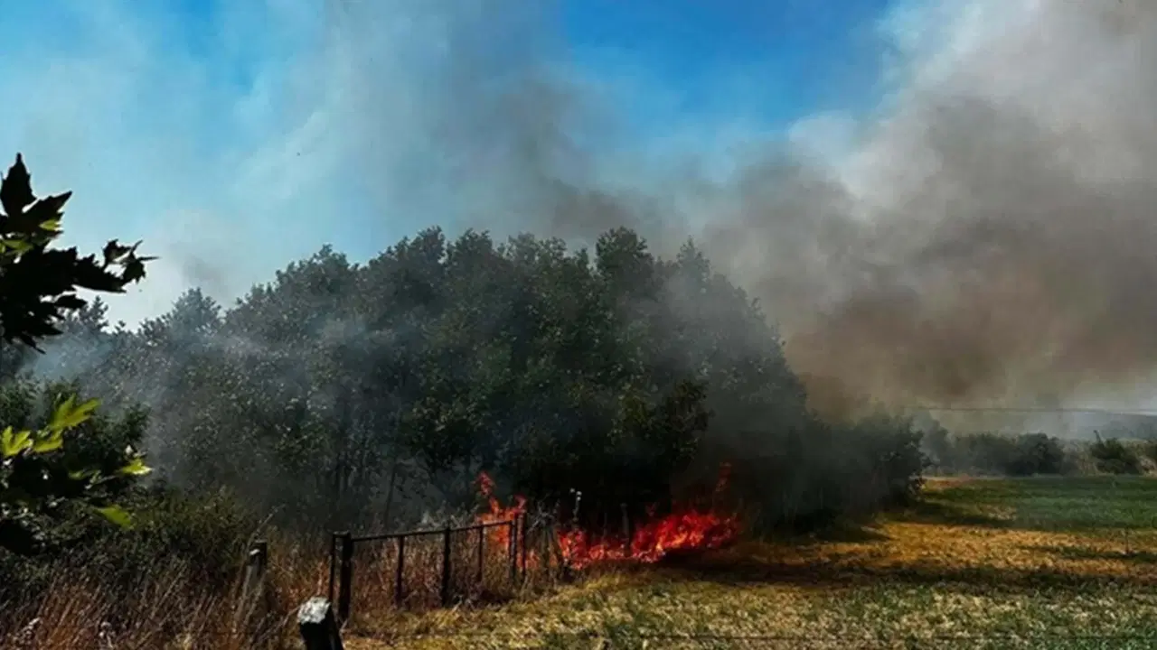 Çanakkale'de ot yangını: 1 saatte kontrol altına alındı
