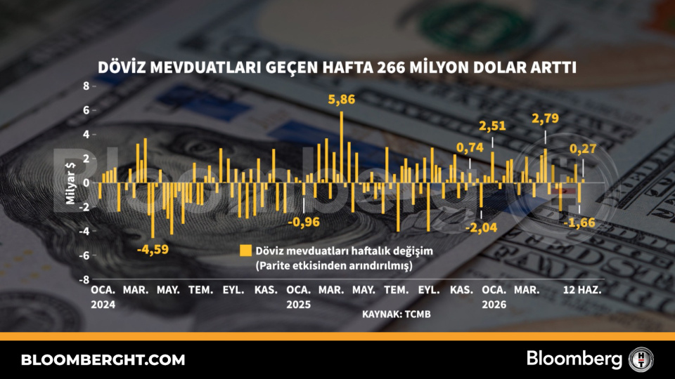 Döviz mevduatları geçen hafta 266 milyon dolar arttı