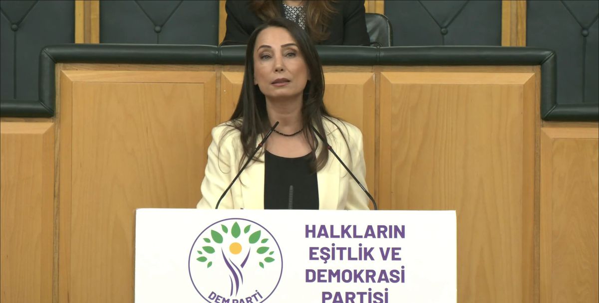 DEM Parti'li Hatimoğulları: Çerçeve yasa mutabakatla çıkmalı