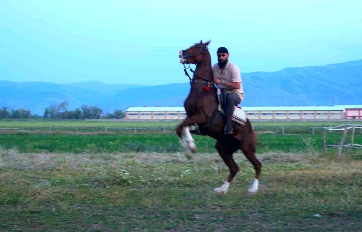 "Mehmet: Fetihler Sultanı" oyuncusu Mustafa Kaya, Muş'ta film atlarını hazırladı