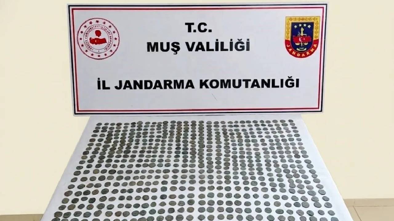 Muş'ta 749 sikke ele geçirildi: 4 kişi gözaltında