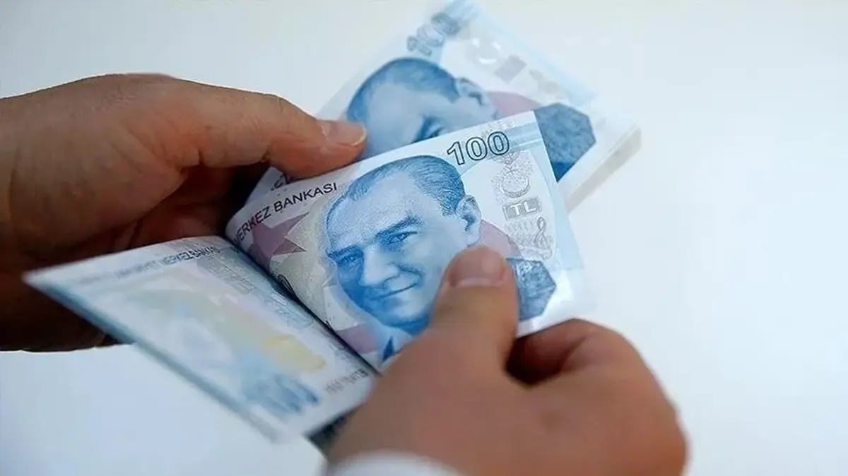 Engelli ve eski hükümlülere hibe desteği! Başvurular 10 Temmuz'da bitiyor