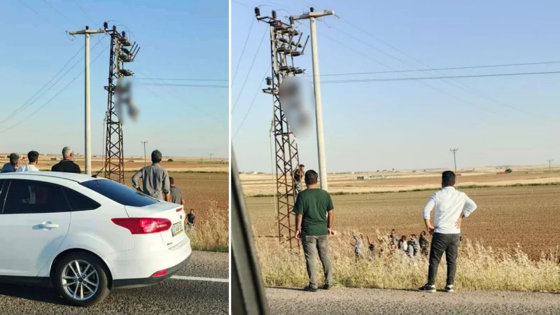 Şanlıurfa'da feci olay: Elektrik akımına kapılan işçi direkte asılı kaldı