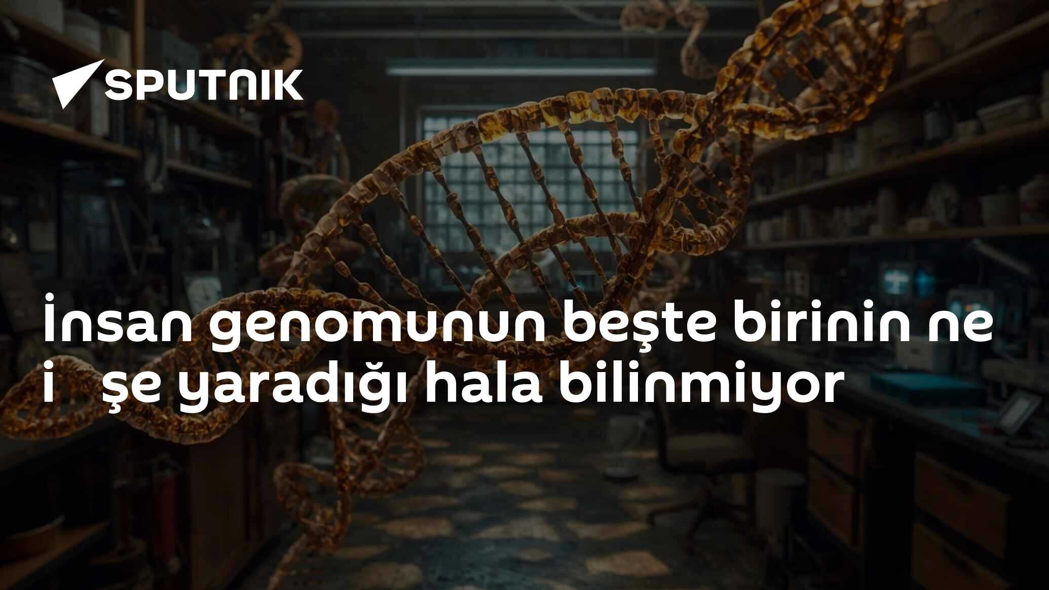 İnsan genomunun beşte birinin ne i̇şe yaradığı hala bilinmiyor