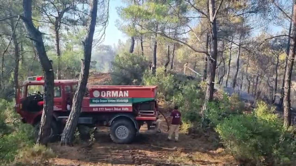 Muğla’da ziraat alanından ormana sıçrayan yangında 1 gözaltı