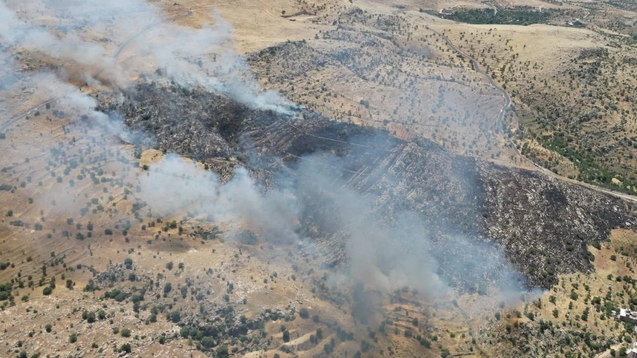 Mardin'de ormanlık alanda çıkan yangın: Kontrol altına alındı