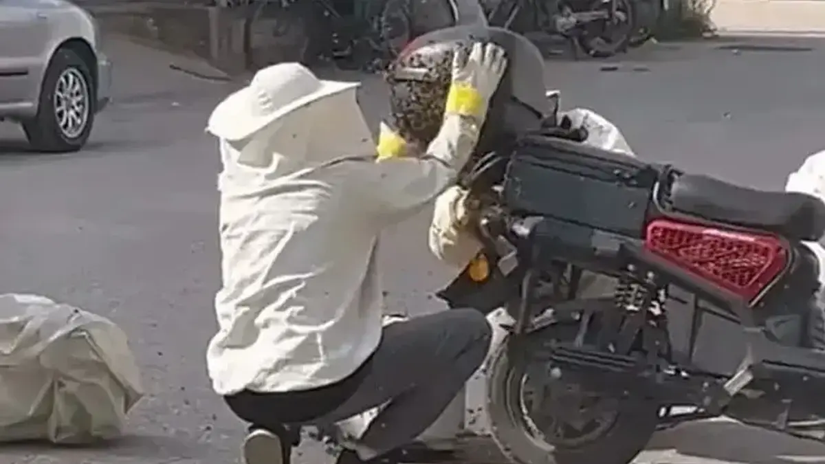 Yol ortasında arı istilası! Motosikleti görenler şaşkına döndü